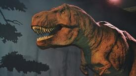 T-Rex dinosaur - museum