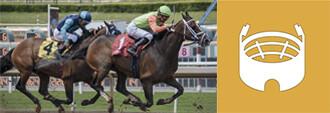 horse racing