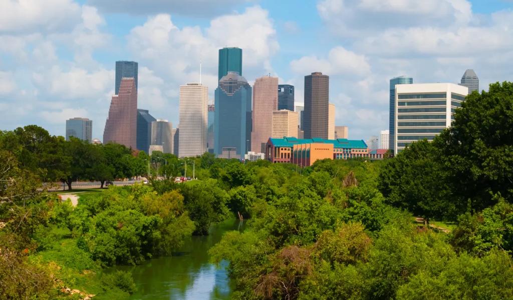 buffalo bayou