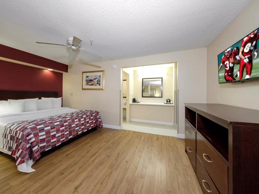 Red Roof Inn Ellenton - Bradenton NE  Single King Room Image 