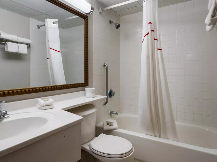 Suite King with Jetted Tub Non-Smoking Bathroom Image