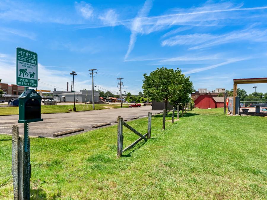 RRI1168_ Dog Area PRO Approved 7-29-24 Image