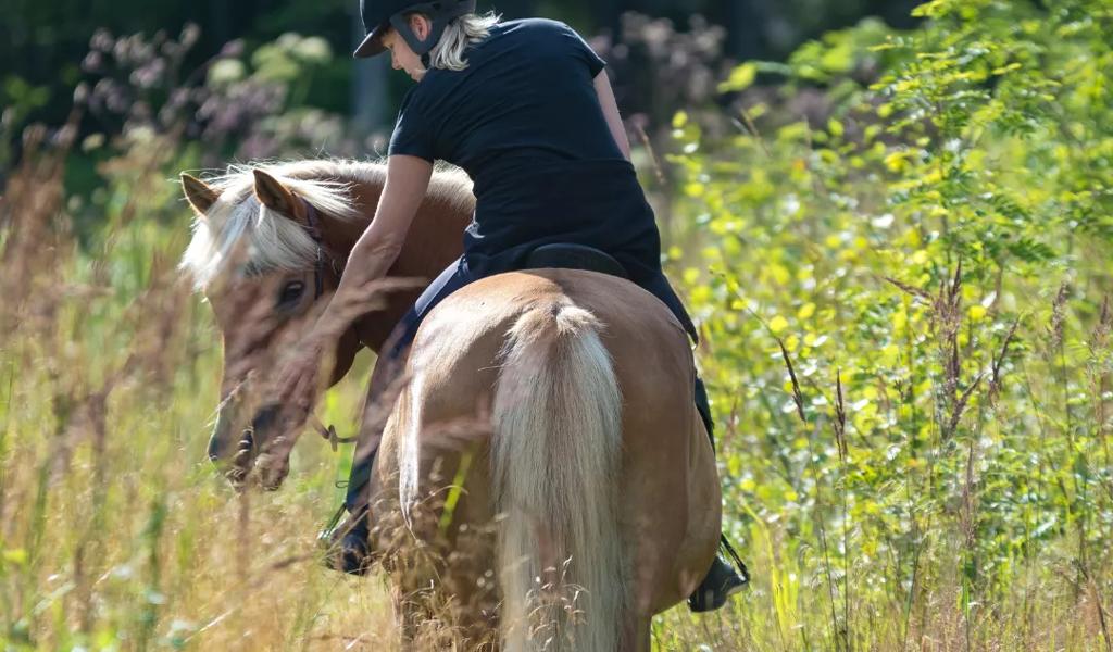 horseback riding