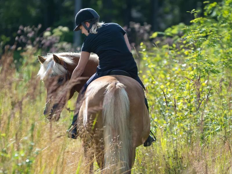 woman horseback riding