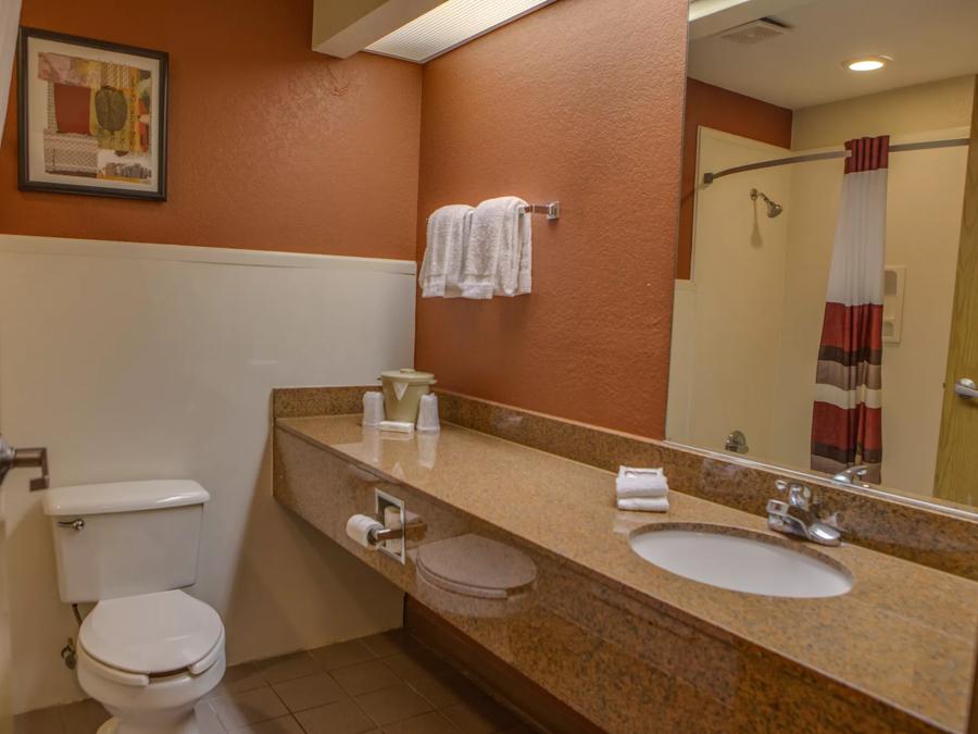 Red Roof Inn Pharr - McAllen Superior King Non-Smoking Bathroom Image