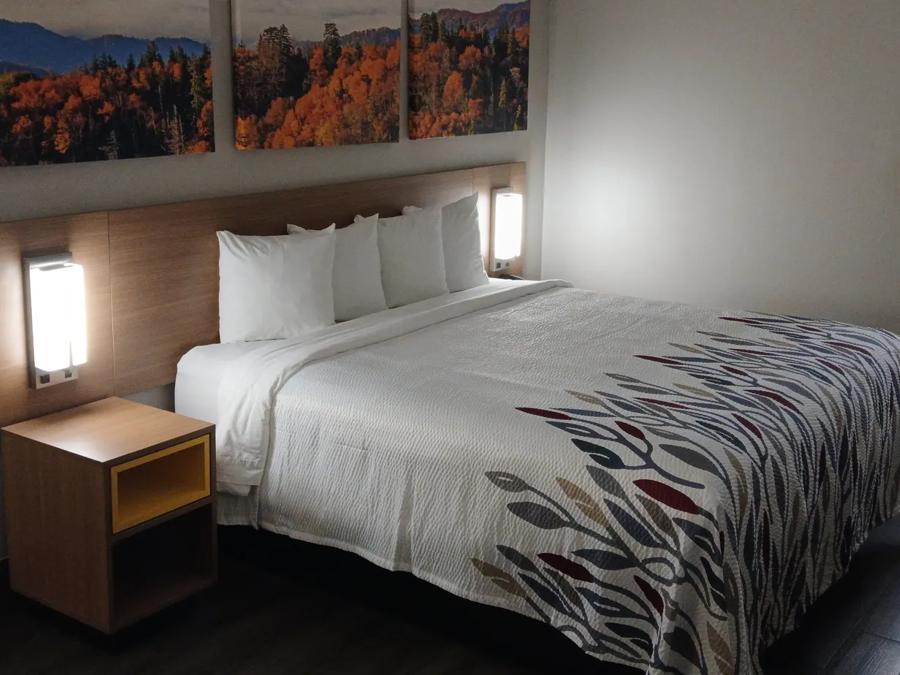 RRI1571_NS Superior 1King Micro 1 TEMP Approved 12-4-25_NP1KM_1 Image