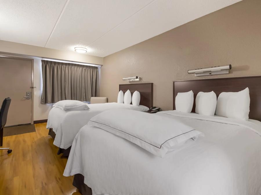 Premium 2 Full Beds Room Image