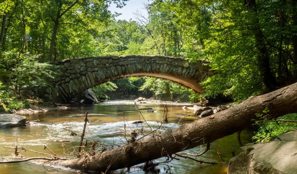 rock creek park