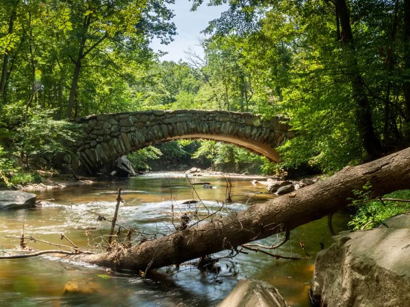 bridge over creek in woods