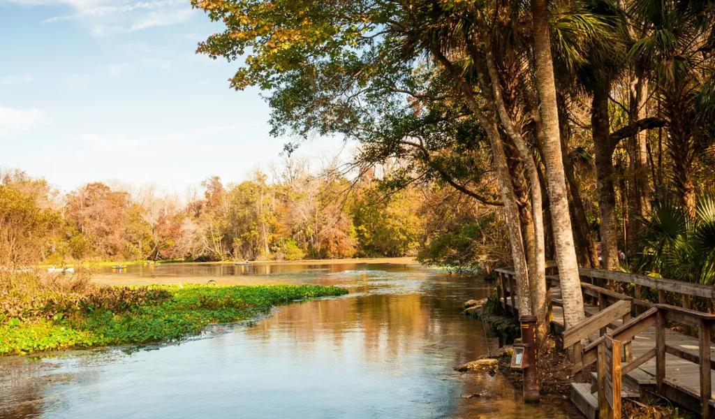 lettuce lake park