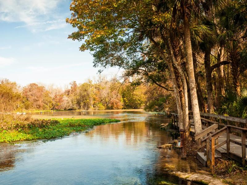 wekiwa springs