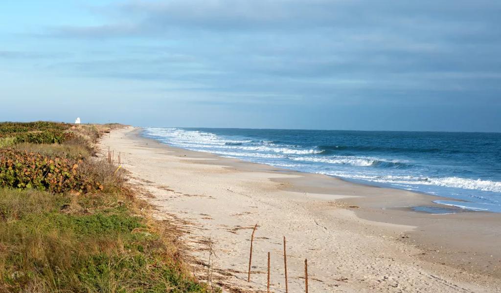 canaveral national seashore