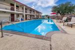 hotel pool - outdoor pool