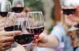 wine glasses - friends cheers