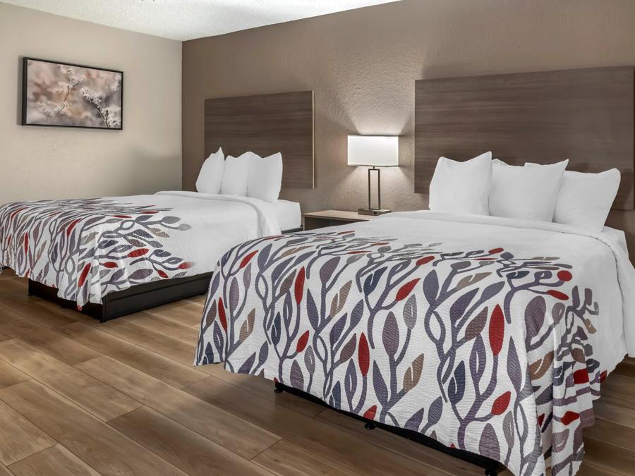 Deluxe 2 Full Beds Image