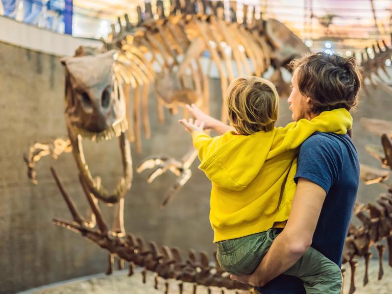 dad and boy in museum