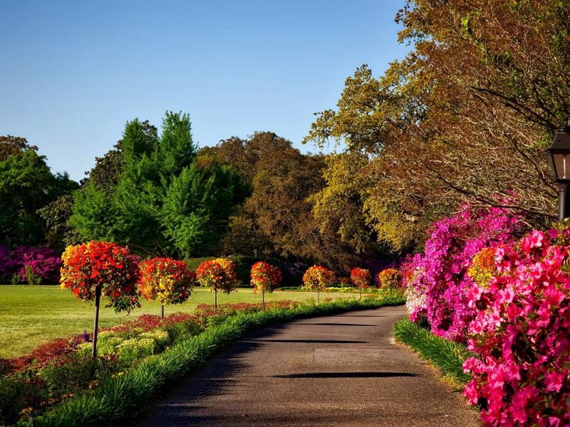 path lined with flowers at a park