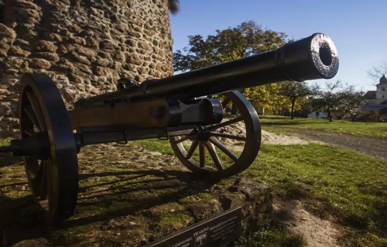 cannon on grass