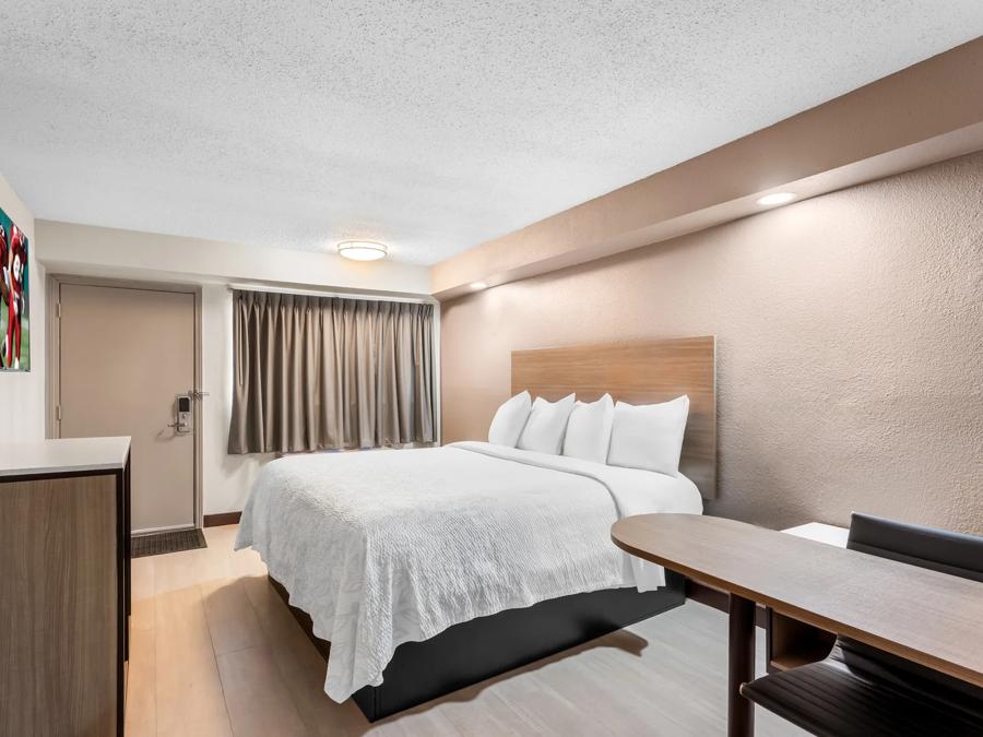 RRI199_NS Premium 1King Micro Hypo-Allergenic 1 PRO Approved 12-2-25_NR1KMW_1 Image