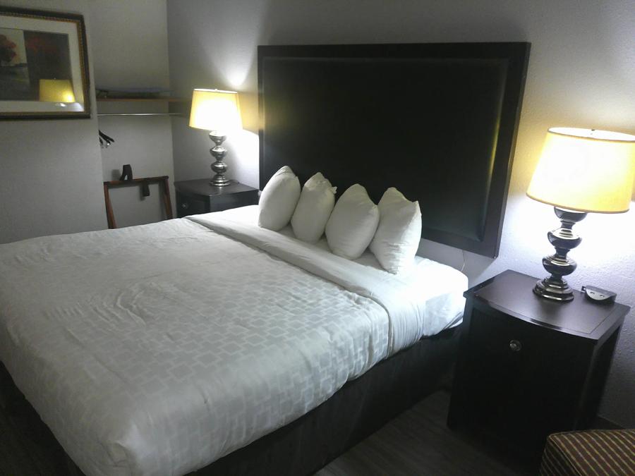 TRC1513_NS ADA Superior 1King Micro 2 TEMP Approved 3-16-26_NAP1KM_2 Image