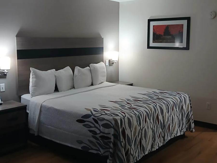 Red Roof Inn & Suites Houma Suite 1 King Bed Non-Smoking Image