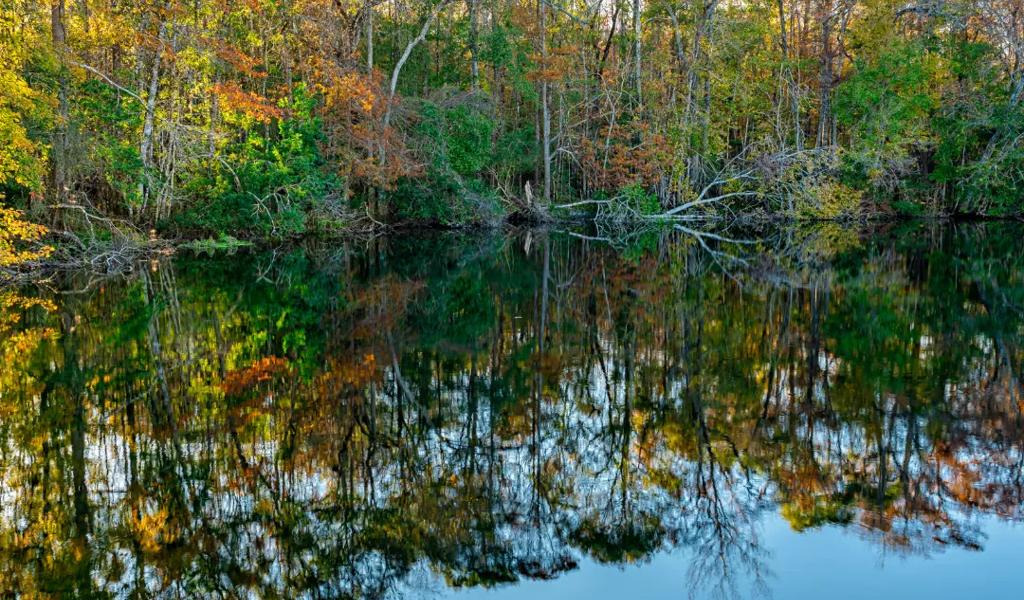 Wakulla Springs State Park