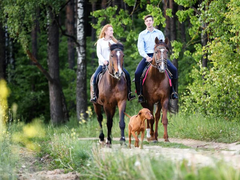 horseback riding