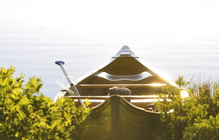 canoe on a lake 