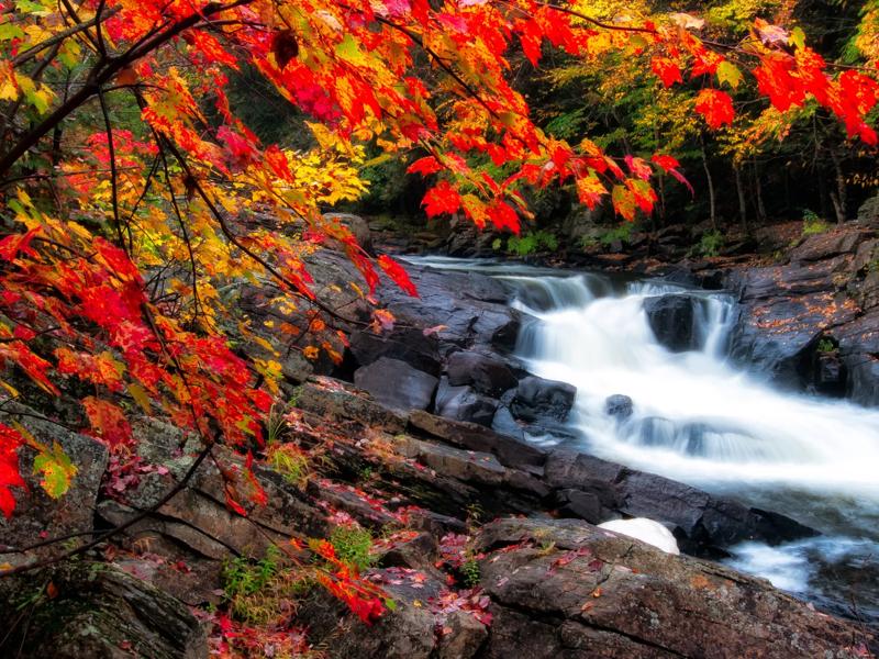 enjoy sightseeing with colorful leaves