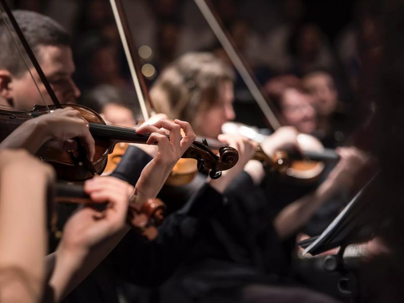 musicians in theatre