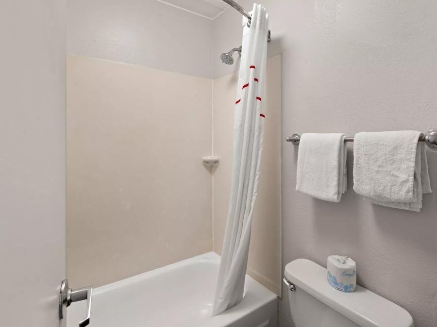 Red Roof Inn Binghamton - Johnson City Superior King Smoke Free Bathroom Image