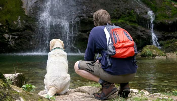 man and dog hiking