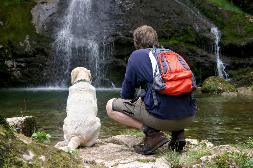 man and dog hiking