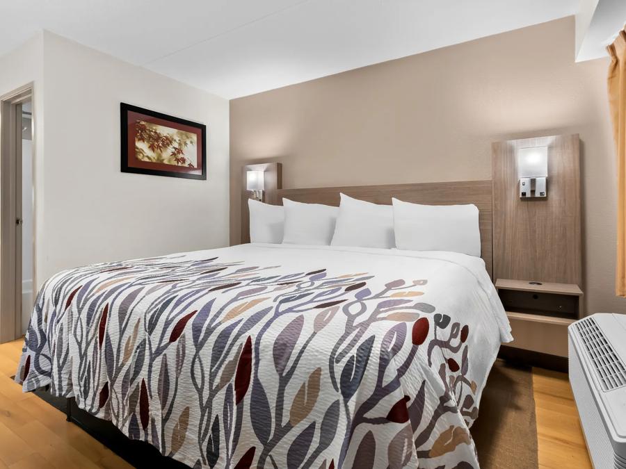 Red Roof Inn Harrisburg North Deluxe King Smoke Free Image