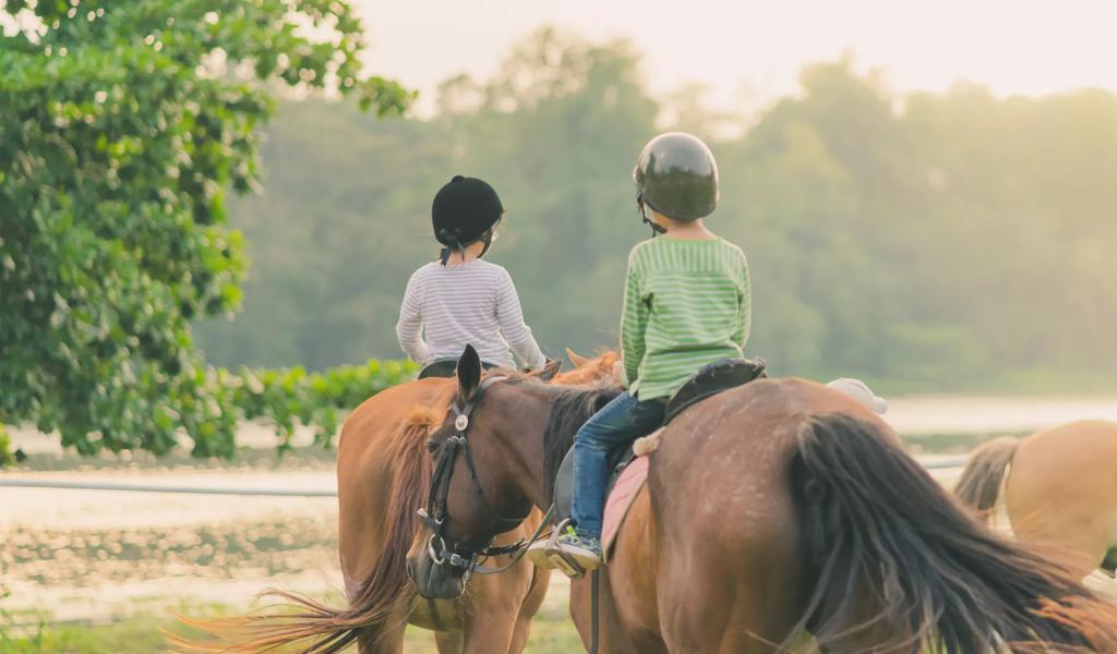 horseback riding