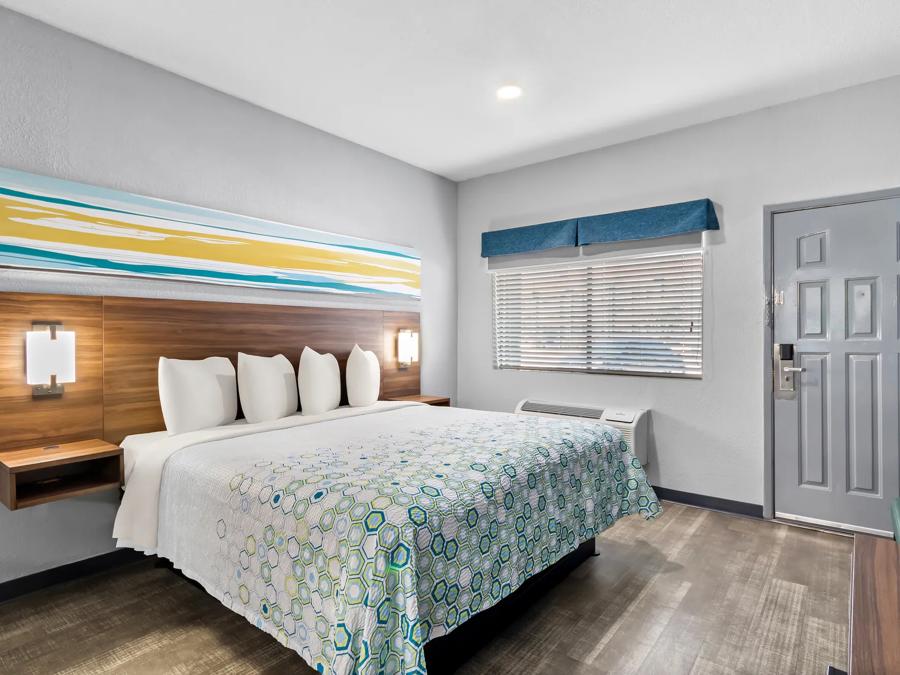 HTS683_NS Studio 1King with Stovetop 2 PRO Approved 10-29-25_NE1KU_2 Image