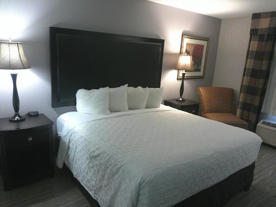 TRC1513_NS Superior 1King Micro 2 TEMP Approved 3-16-26_NP1KM_2 Image