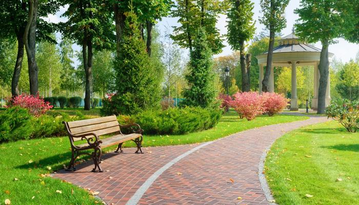 park