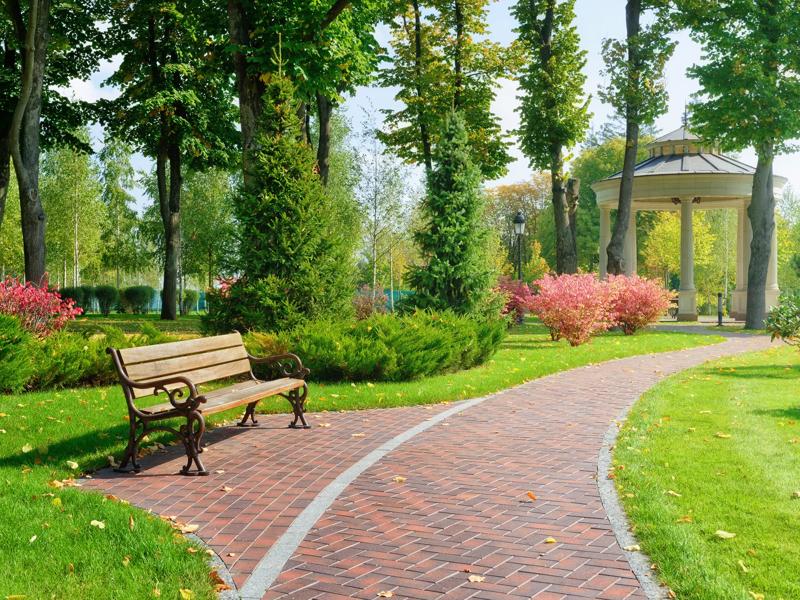 beautiful park with bench