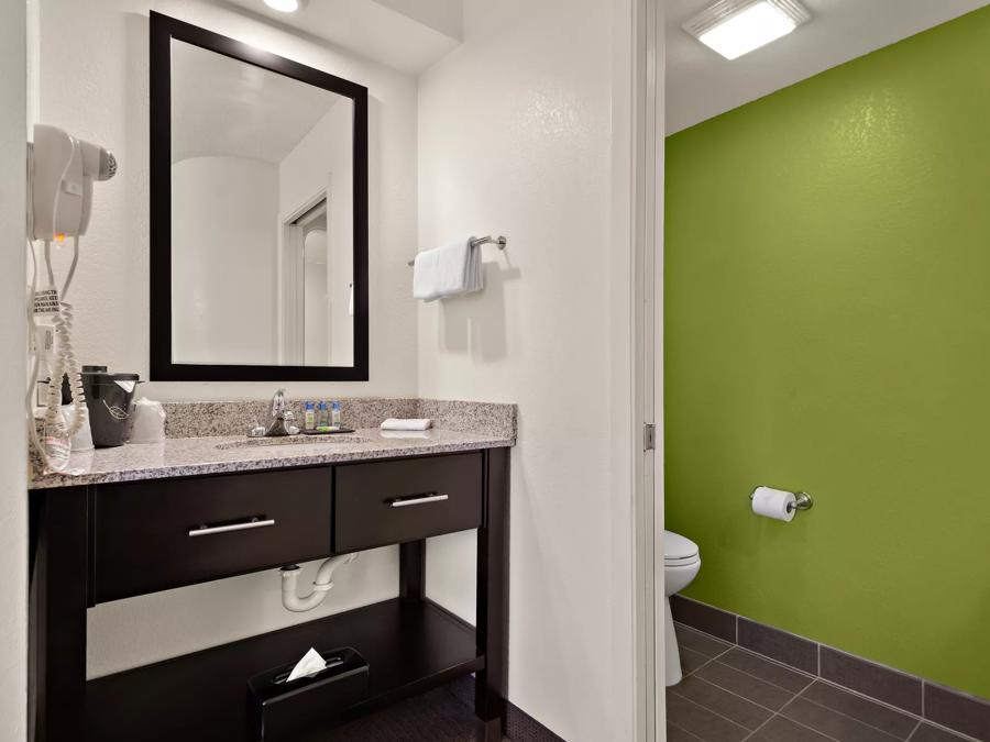 SPOT X Hotel Tampa - Wesley Chapel by The Red Collection Business King Non-Smoking Bathroom Image