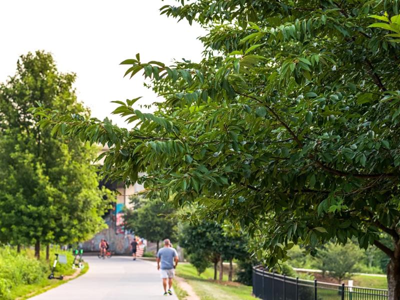 walking trail