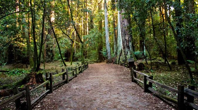 walking trail