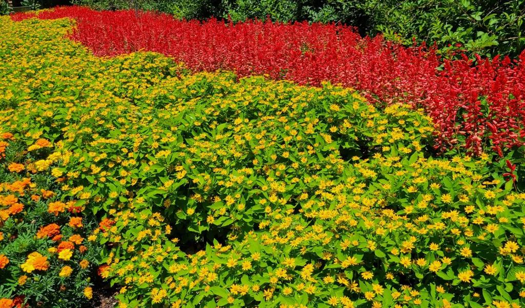 Dallas Arboretum