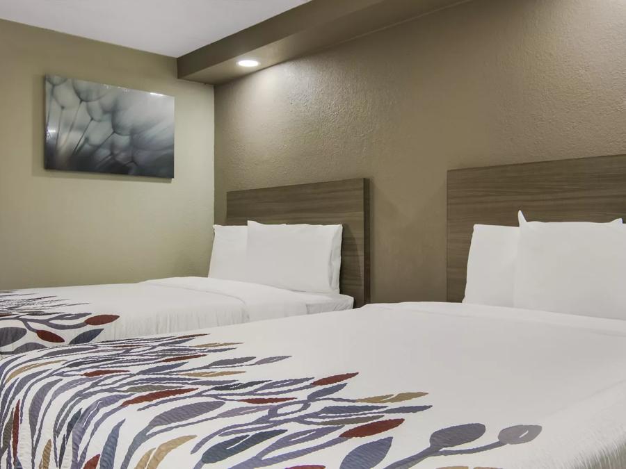 Red Roof Inn & Conference Center Chicago – N Aurora/ Naperville Deluxe 2 Full Beds Non-Smoking