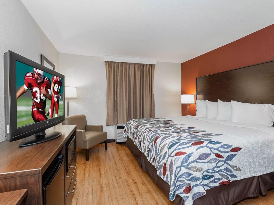 Red Roof Inn Roanoke Rapids Single King Room Image