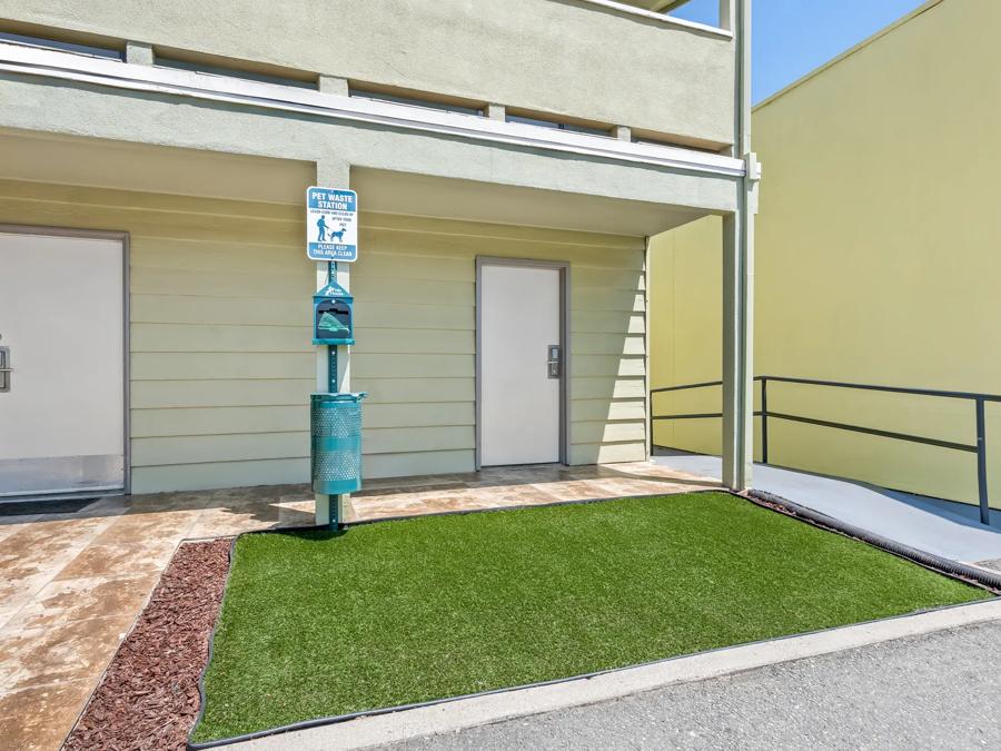 RRI1436 - HTS1437_Dog Park PRO Approved 7-15-25 Image