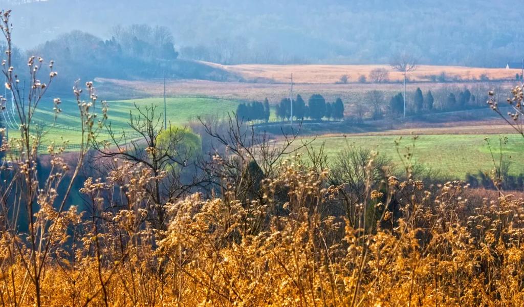 Rolling countryside landscape