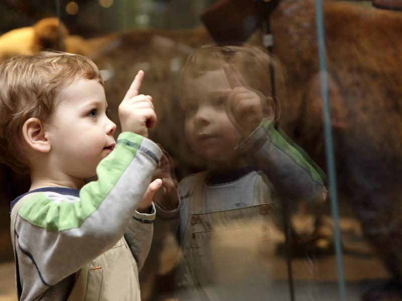 kid in museum