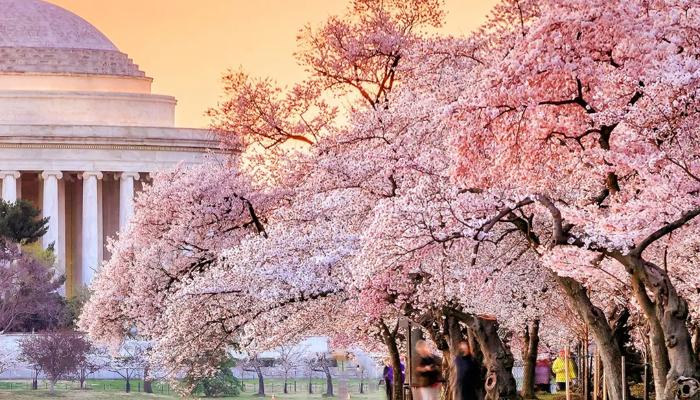 Washington DC