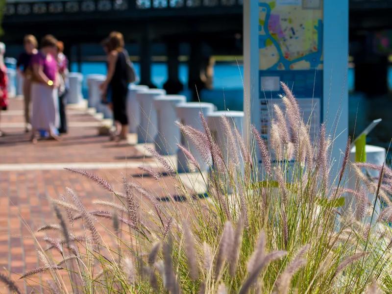 tampa riverwalk